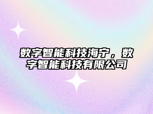 數字智能科技海寧，數字智能科技有限公司