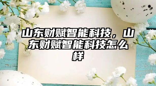 山東財賦智能科技，山東財賦智能科技怎么樣