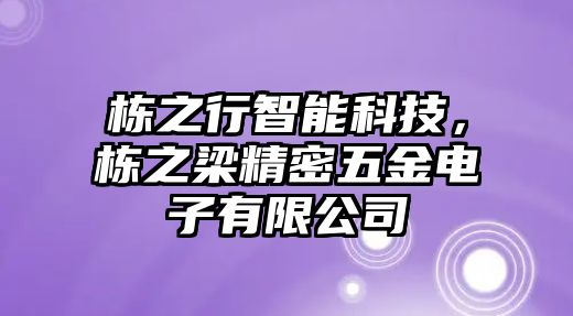 棟之行智能科技，棟之梁精密五金電子有限公司