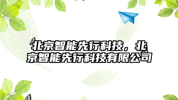 北京智能先行科技，北京智能先行科技有限公司