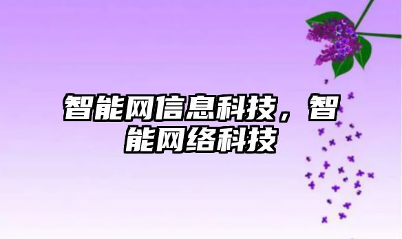 智能網信息科技，智能網絡科技