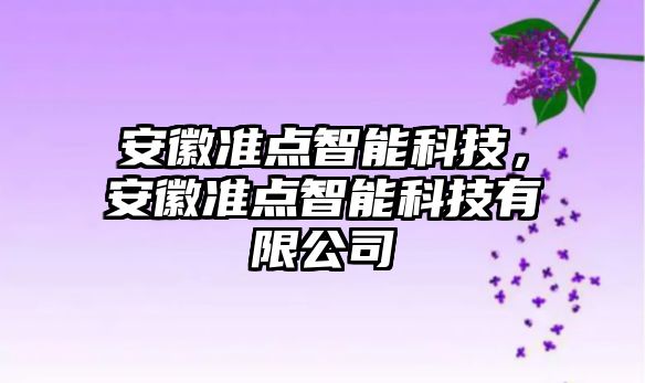 安徽準點智能科技，安徽準點智能科技有限公司