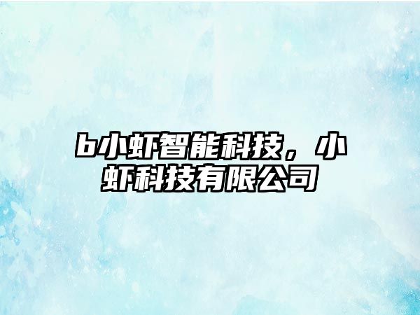 b小蝦智能科技，小蝦科技有限公司