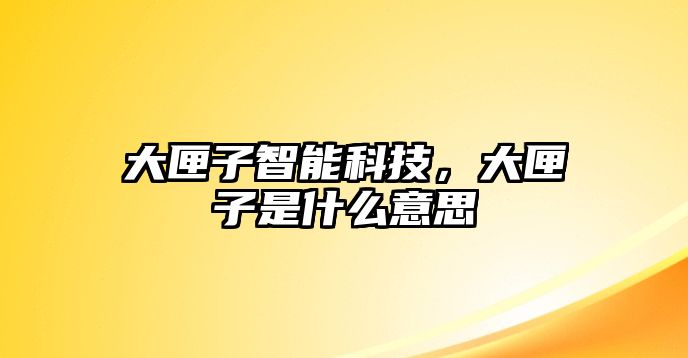 大匣子智能科技，大匣子是什么意思