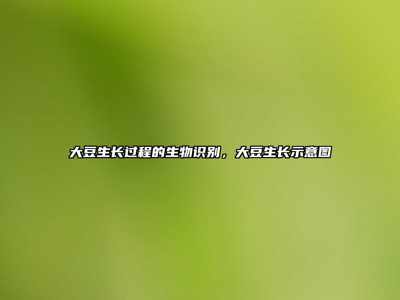 大豆生長過程的生物識別，大豆生長示意圖