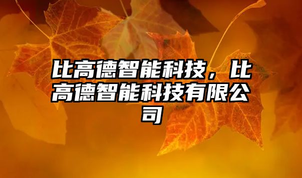 比高德智能科技，比高德智能科技有限公司