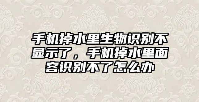 手機掉水里生物識別不顯示了，手機掉水里面容識別不了怎么辦