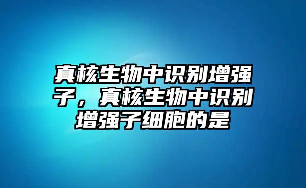 真核生物中識別增強子，真核生物中識別增強子細胞的是