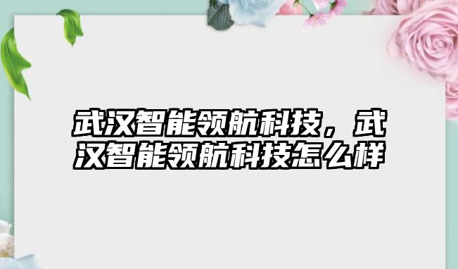 武漢智能領(lǐng)航科技，武漢智能領(lǐng)航科技怎么樣