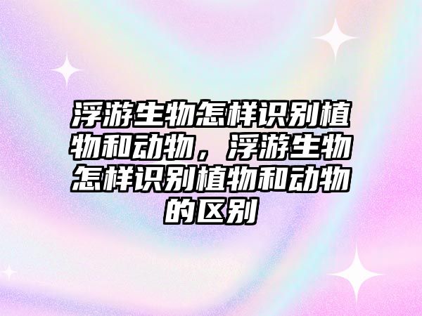 浮游生物怎樣識別植物和動物，浮游生物怎樣識別植物和動物的區別