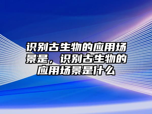 識別古生物的應用場景是，識別古生物的應用場景是什么