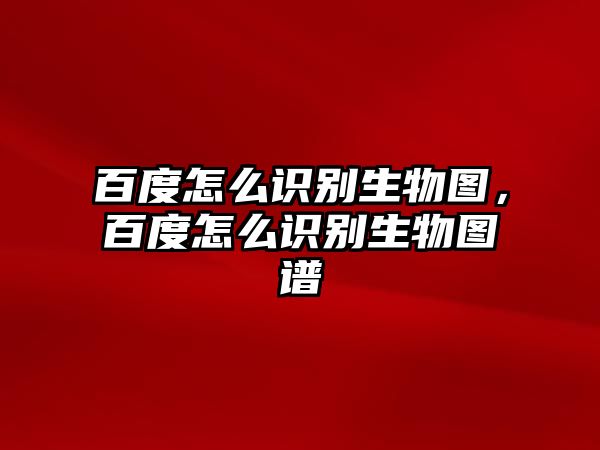 百度怎么識別生物圖，百度怎么識別生物圖譜