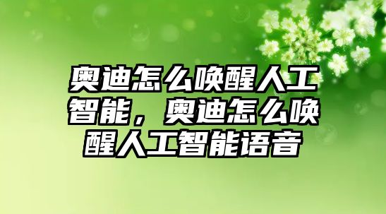 奧迪怎么喚醒人工智能，奧迪怎么喚醒人工智能語音