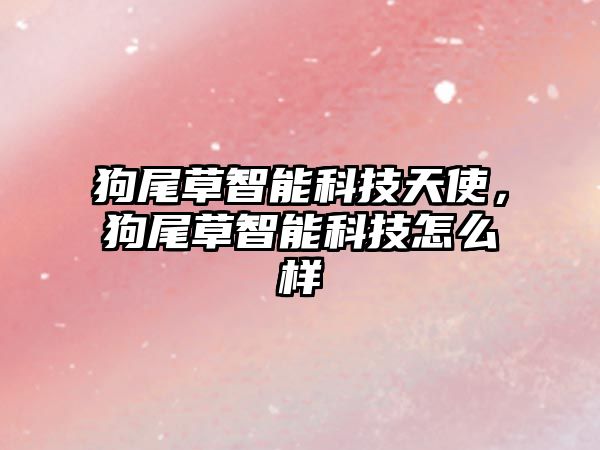 狗尾草智能科技天使，狗尾草智能科技怎么樣