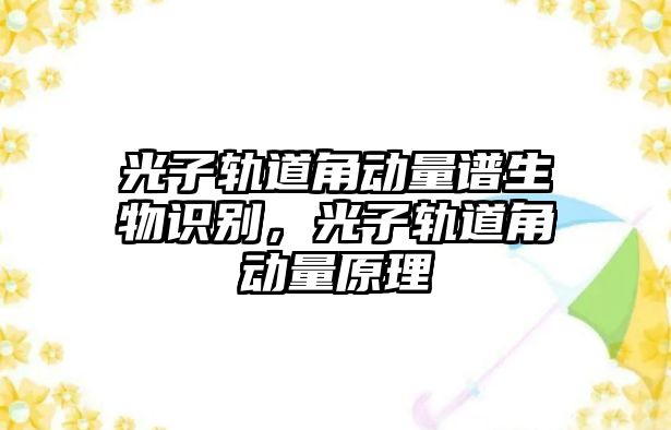 光子軌道角動量譜生物識別，光子軌道角動量原理