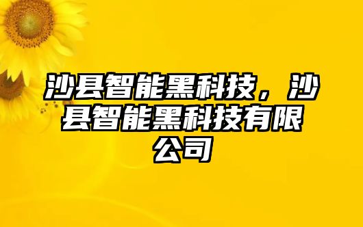 沙縣智能黑科技，沙縣智能黑科技有限公司