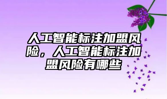 人工智能標注加盟風險，人工智能標注加盟風險有哪些