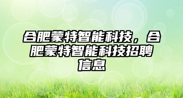 合肥蒙特智能科技，合肥蒙特智能科技招聘信息